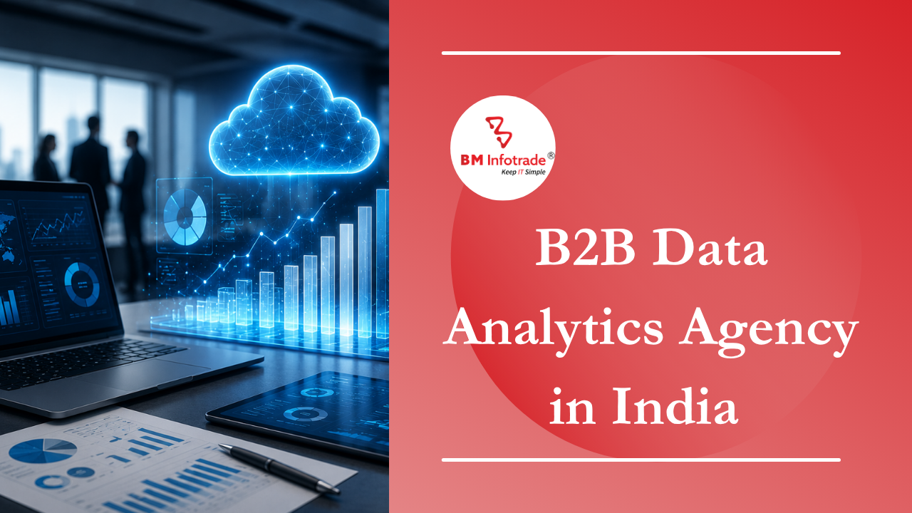 B2B Data Analytics Agency in India