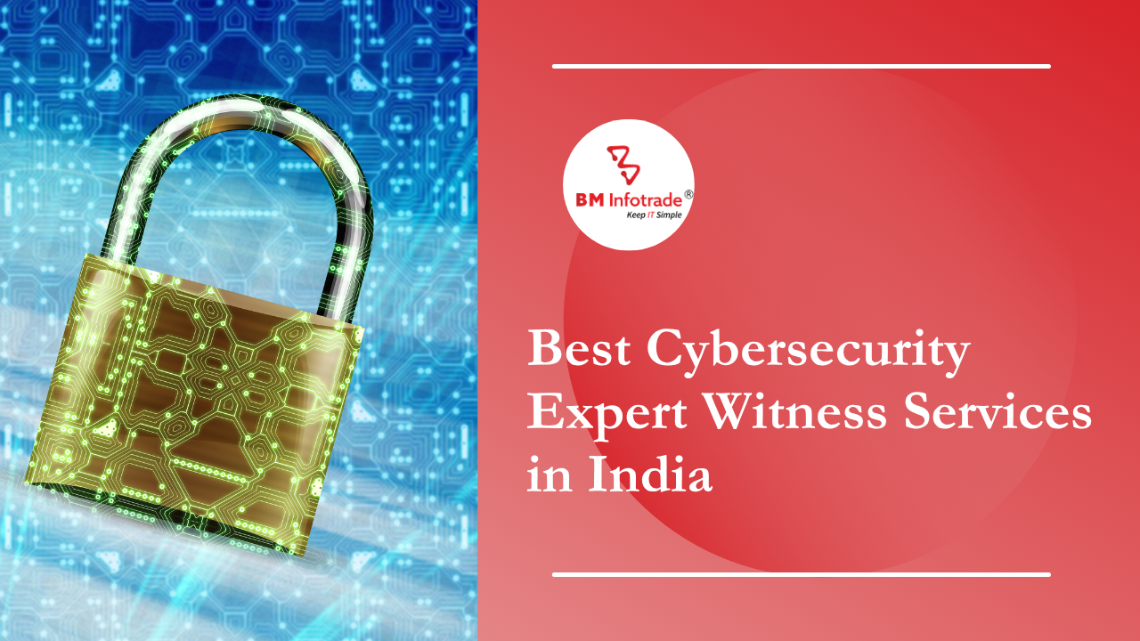 Best Cybersecurity Expert Witness Services in India
